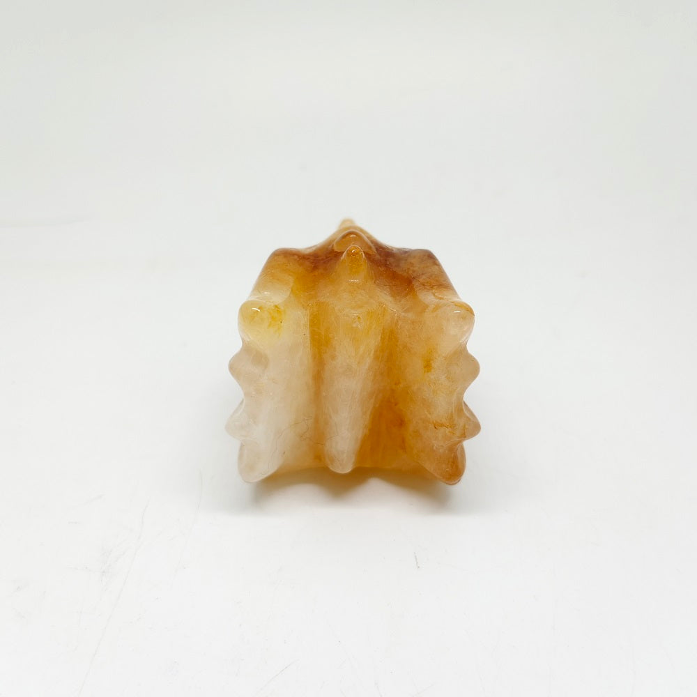 224.5g natural golden healer dragon head carving ornaments healing