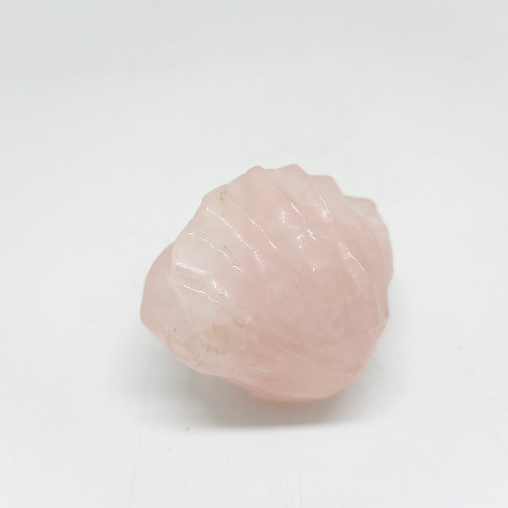 77.4g natural rose quartz clam shell carving ornaments healing