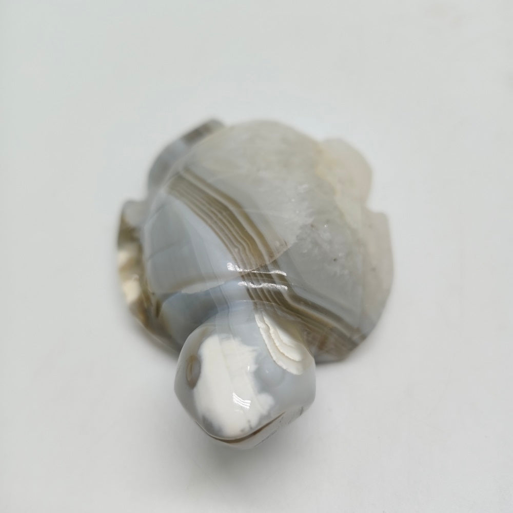natural agate turtle carving ornaments healing 193.7g