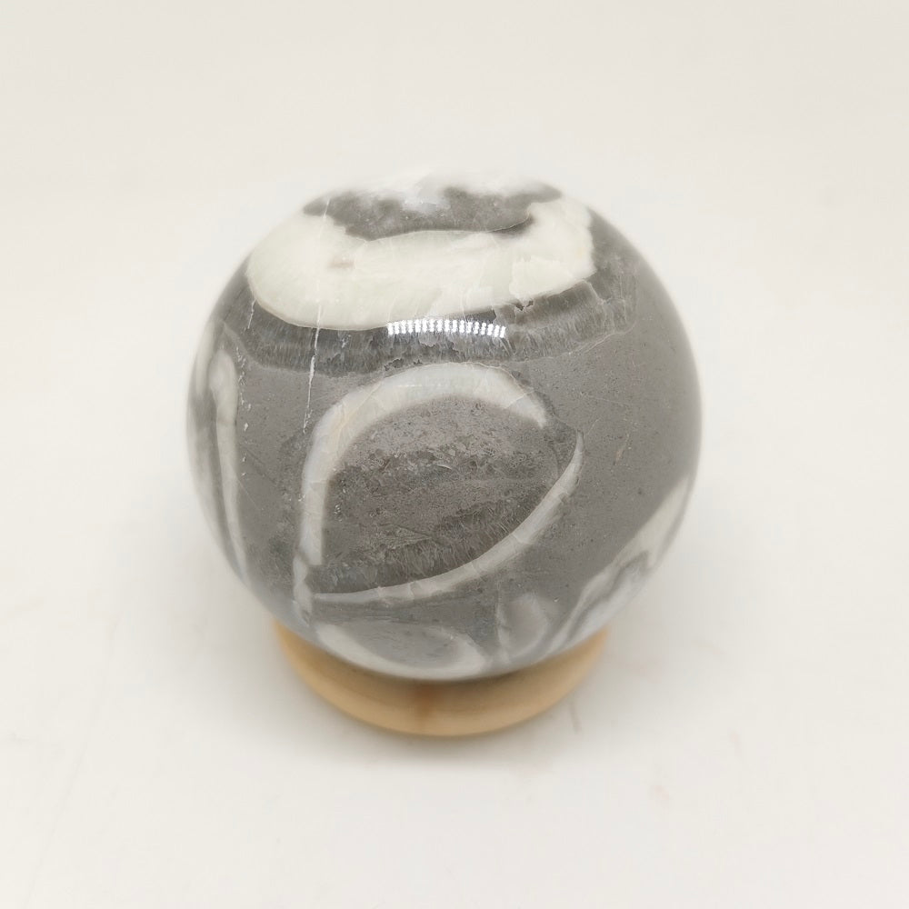 natural shell jasper sphere ornaments healing 203g