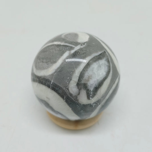 natural shell jasper sphere ornaments healing 203g