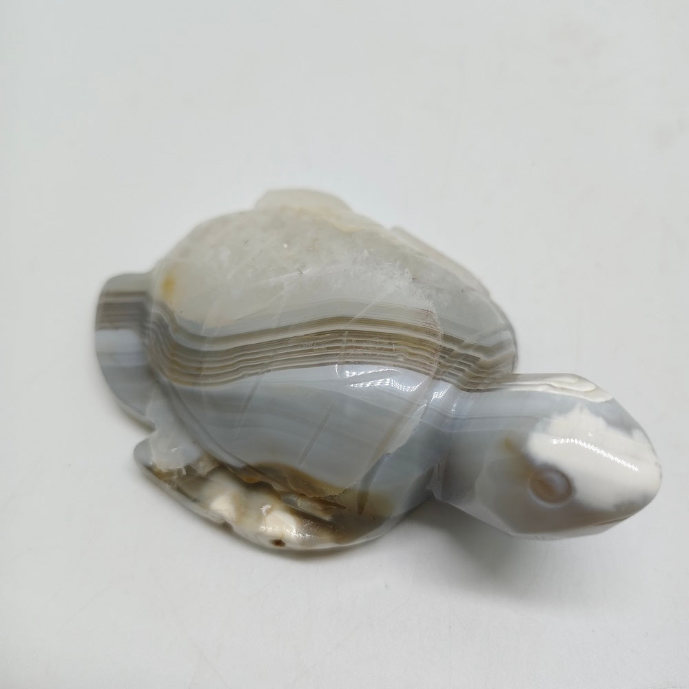 natural agate turtle carving ornaments healing 193.7g