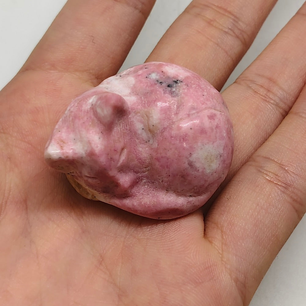 rhodonite cat carving ornaments healing 32.7g