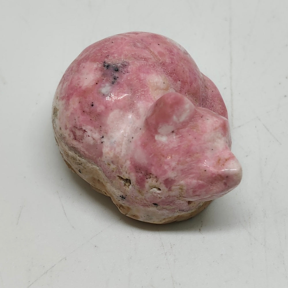 rhodonite cat carving ornaments healing 32.7g