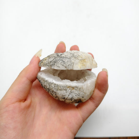 kyanite geode clam shell carving ornaments healing 103.4g