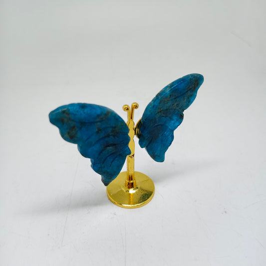 blue apatite butterfly carving ornaments healing 33g