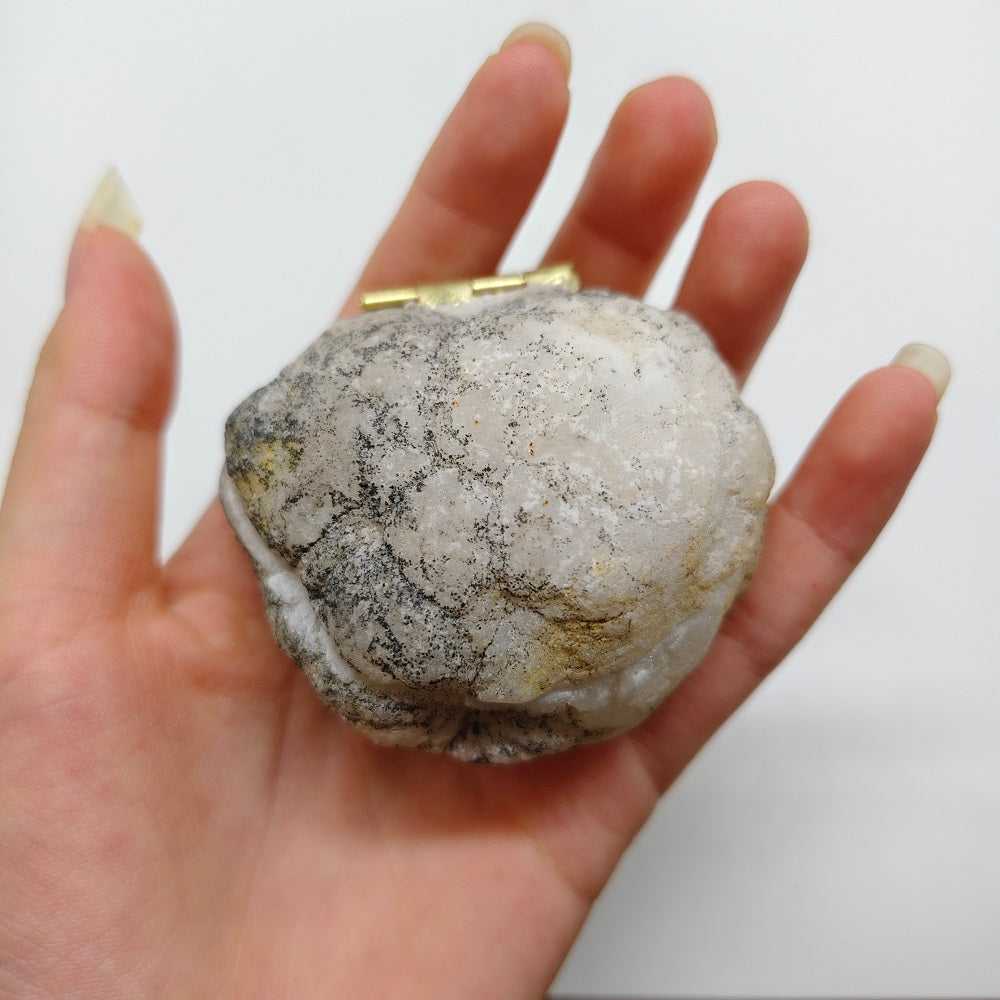kyanite geode clam shell carving ornaments healing 103.4g
