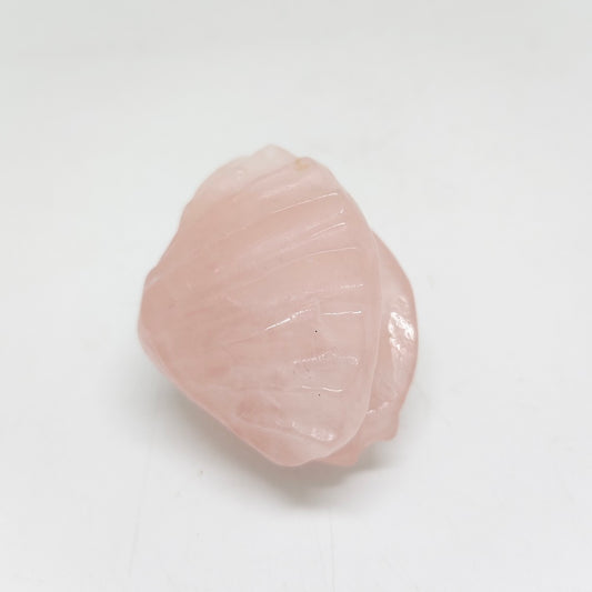 77.4g natural rose quartz clam shell carving ornaments healing