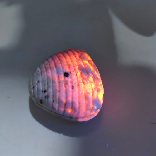 purple sodalite shell carving ornaments healing 129.5g